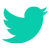 magnetize_twitter